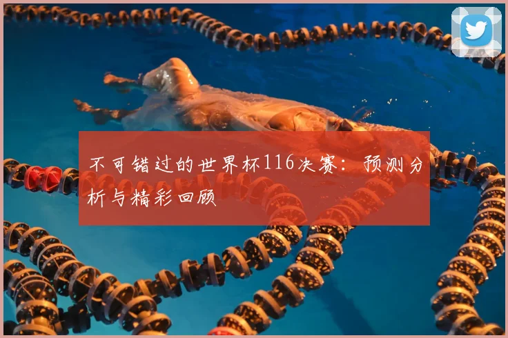 不可错过的世界杯116决赛：预测分析与精彩回顾